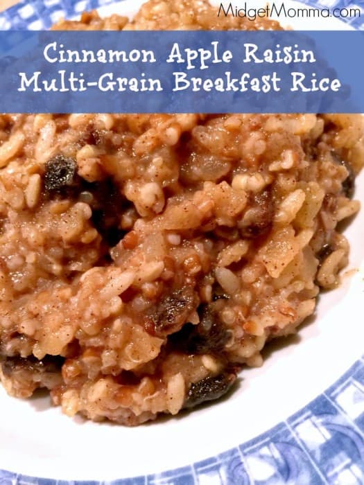 Cinnamon Apple Raisin Multi-grain Rice