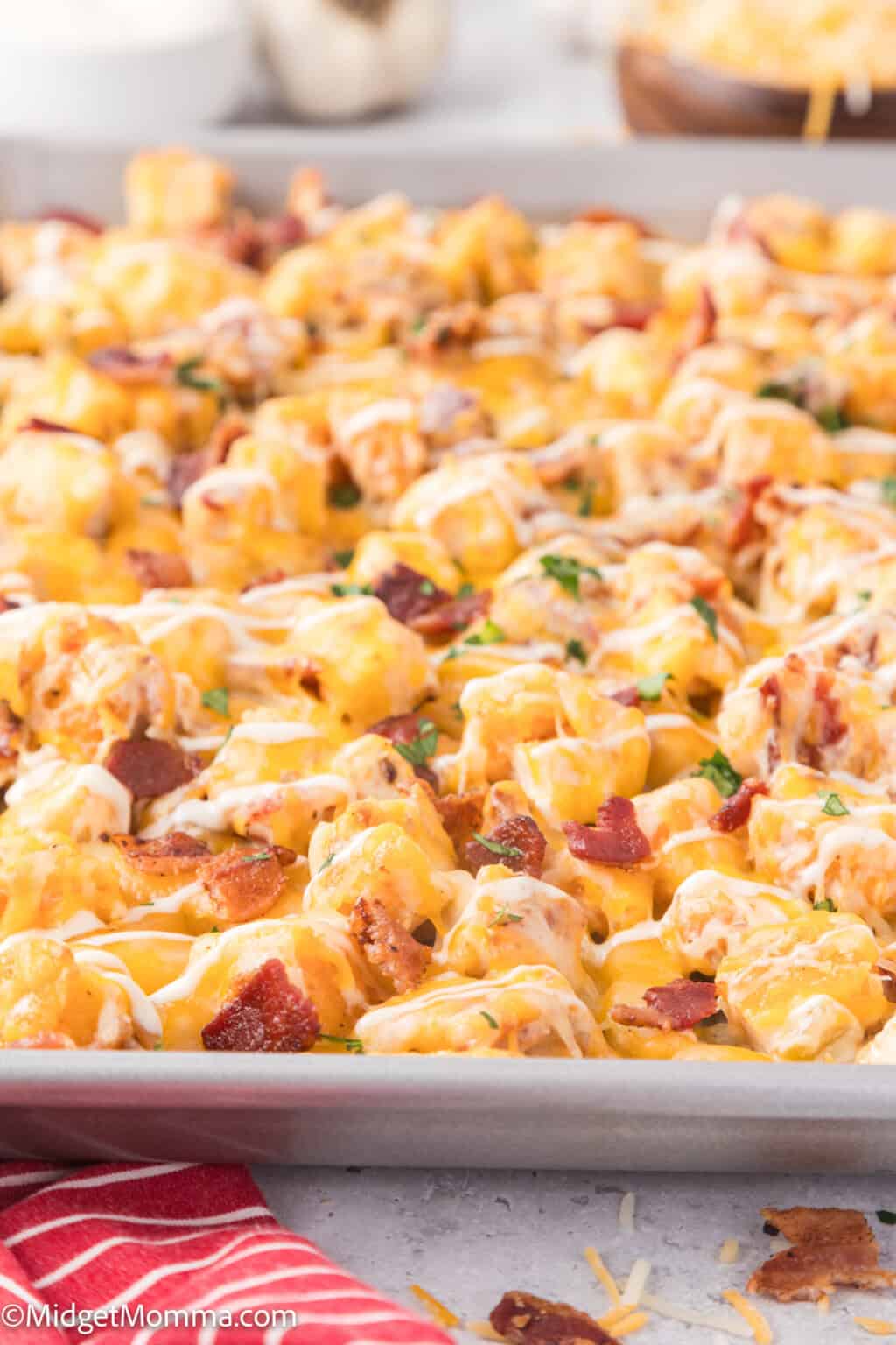 Cheesy Loaded Chicken Bacon Ranch Fries Recipe Midgetmomma