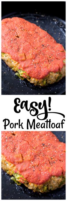 Easy Pork Meatloaf Recipe