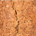 Walnut Zucchini Bread Recipe • MidgetMomma