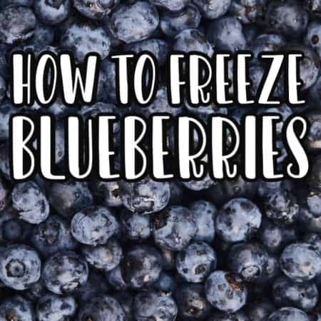 How To Freeze Blueberries (easy Step By Step Directions) • Midgetmomma