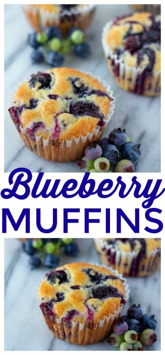Moist and Delicious Greek Yogurt Blueberry Muffins