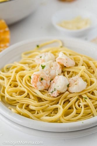 Shrimp Pasta recipe