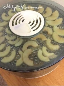 Apple Chips Using a Dehydrator