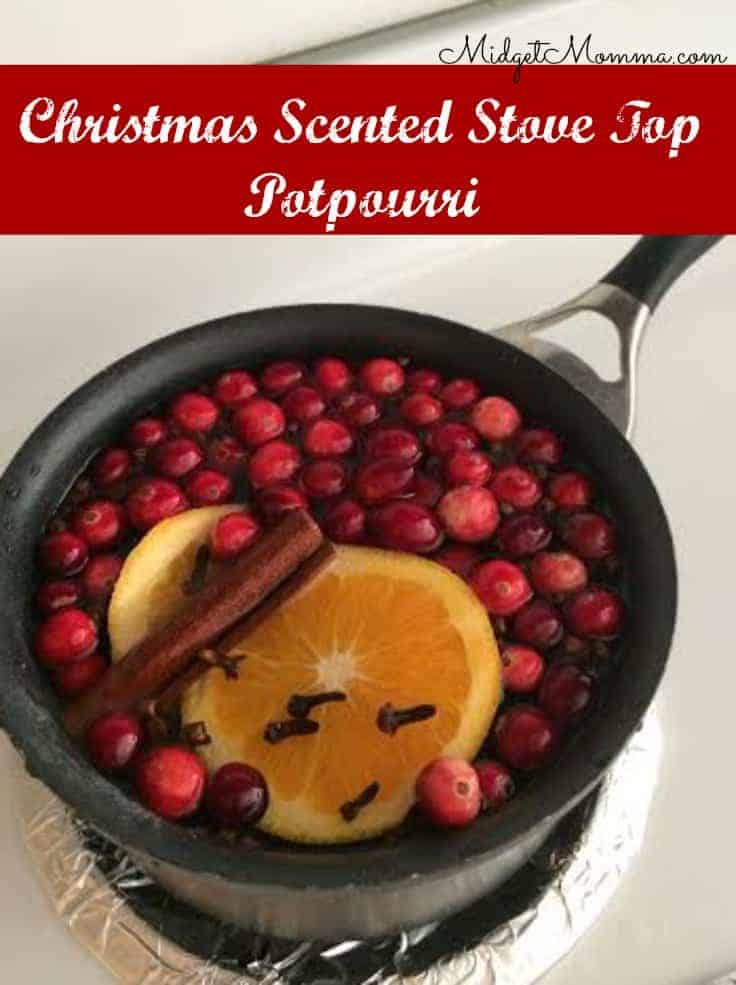 https://www.midgetmomma.com/wp-content/uploads/2014/11/Christmas-Scented-Stove-Top-Potpourri.jpg