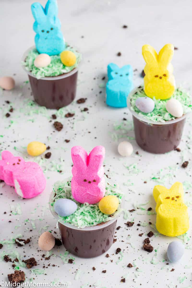 Easter Dirt Cups with Homemade Chocolate Pudding - BriGeeski