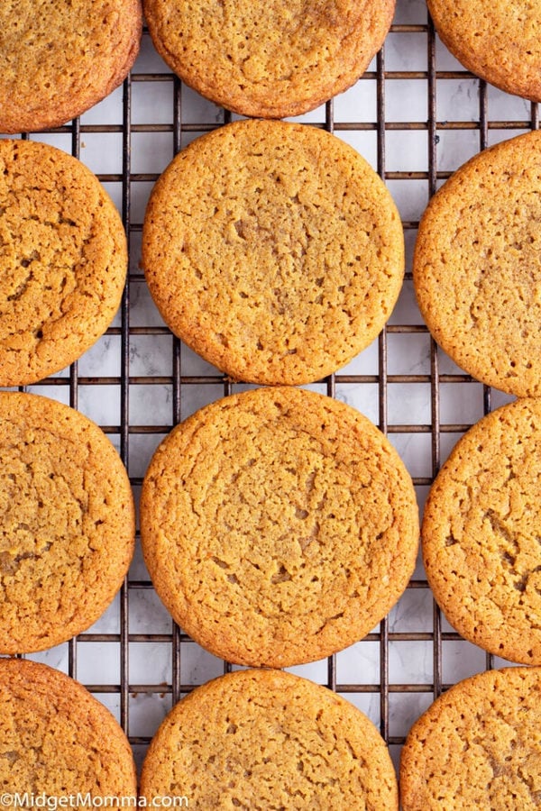 Soft Chewy Ginger Molasses Cookies • % MidgetMomma.com