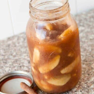 Homemade Apple Pie Filling Midgetmomma