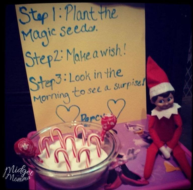 135 Easy Elf on the Shelf Ideas that Kids will LOVE! • MidgetMomma