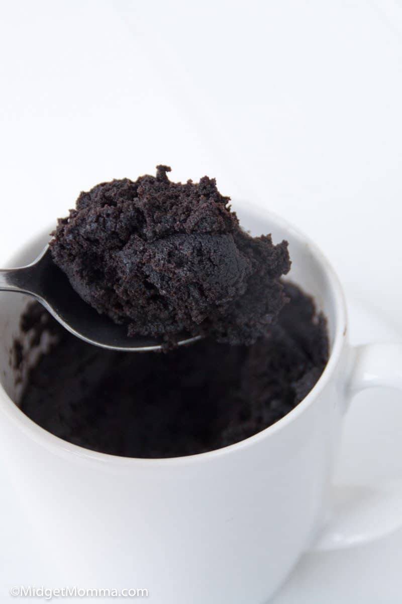 Microwave Brownie in a Mug • MidgetMomma