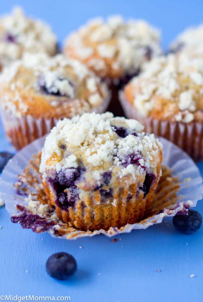 Blueberry Streusel Muffins with Homemade Crumb Topping