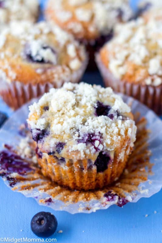 Blueberry Streusel Muffins With Homemade Crumb Topping 