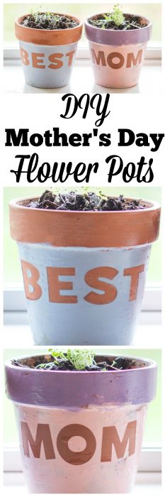 Best Mom Diy Flower Pots For Mothers Day • Midgetmomma