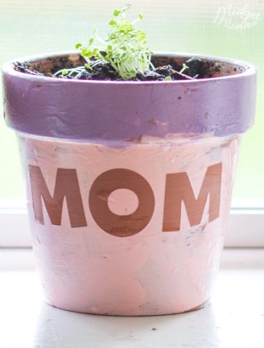 Best Mom Diy Flower Pots For Mothers Day • Midgetmomma