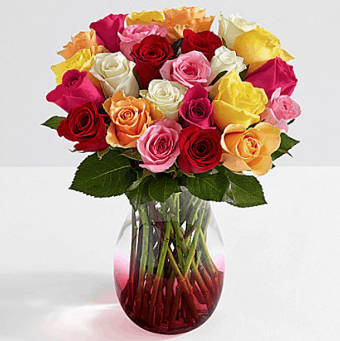 Proflowers Mother S Day Deal 2 Dozen Roses Vase Only 15 97