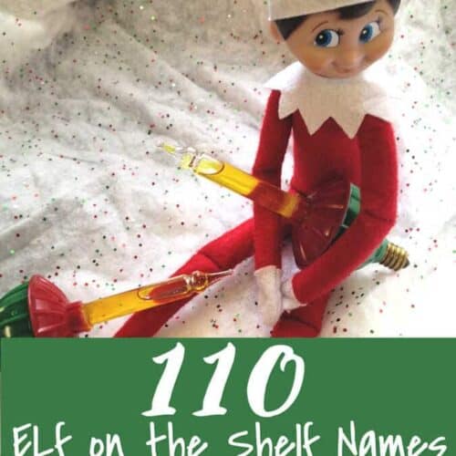 Elf on the Shelf Archives • MidgetMomma