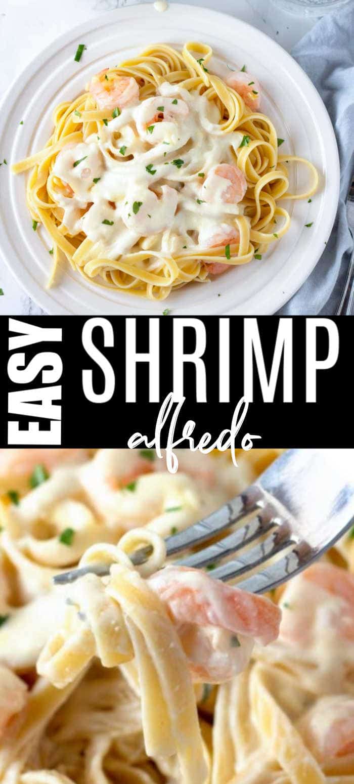 Shrimp Alfredo Pasta Recipe With Homemade Alfredo Sauce • MidgetMomma