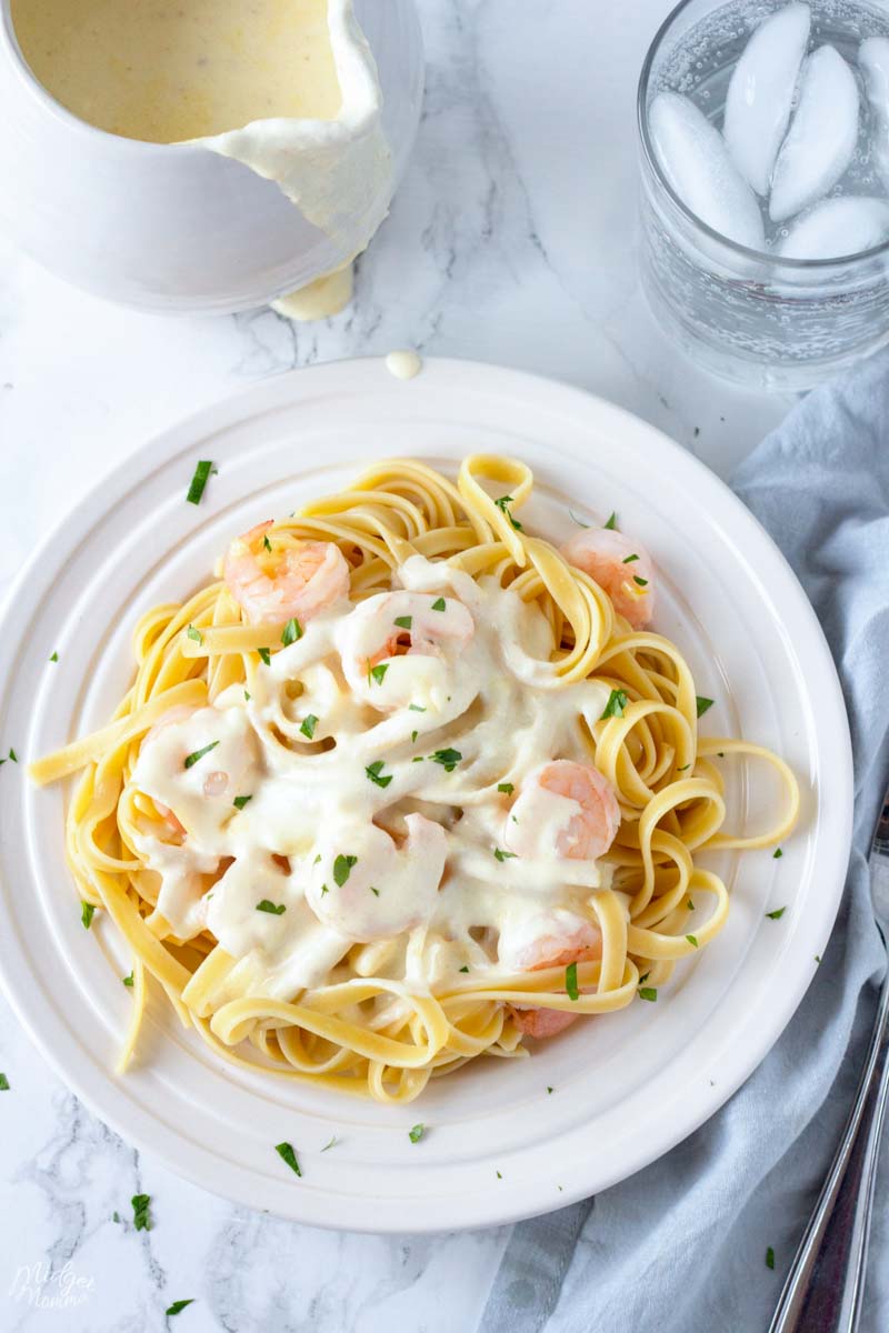 Shrimp Alfredo Pasta Recipe With Homemade Alfredo Sauce MidgetMomma