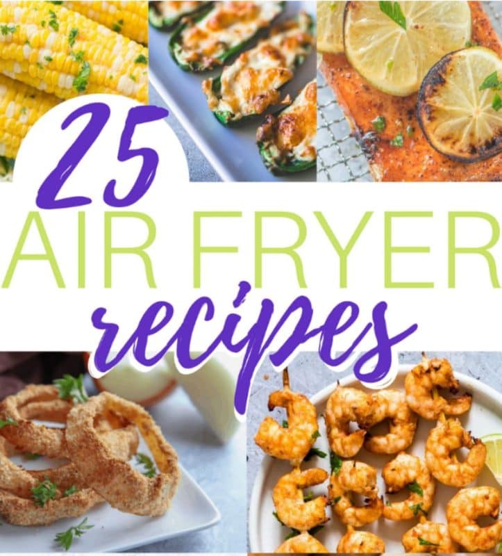 25 Awesome Air Fryer Recipes • MidgetMomma