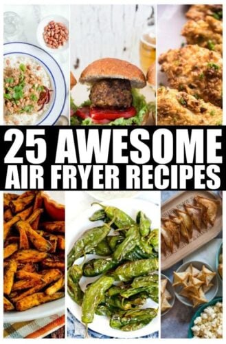 25 Awesome Air Fryer Recipes • MidgetMomma