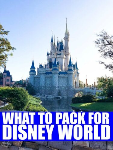 Disney World Packing List + Printable • MidgetMomma