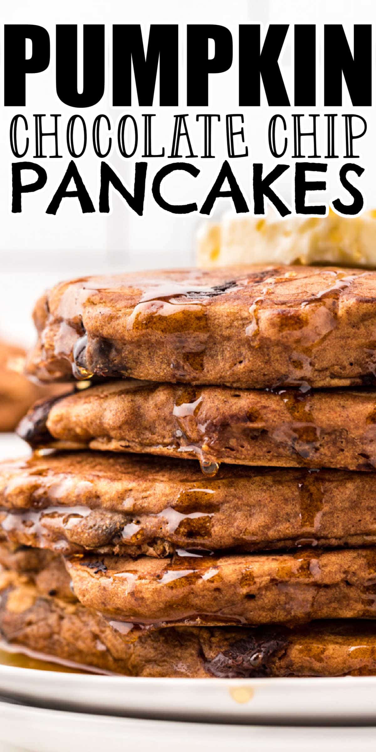 Pumpkin Chocolate Chip Pancakes • MidgetMomma