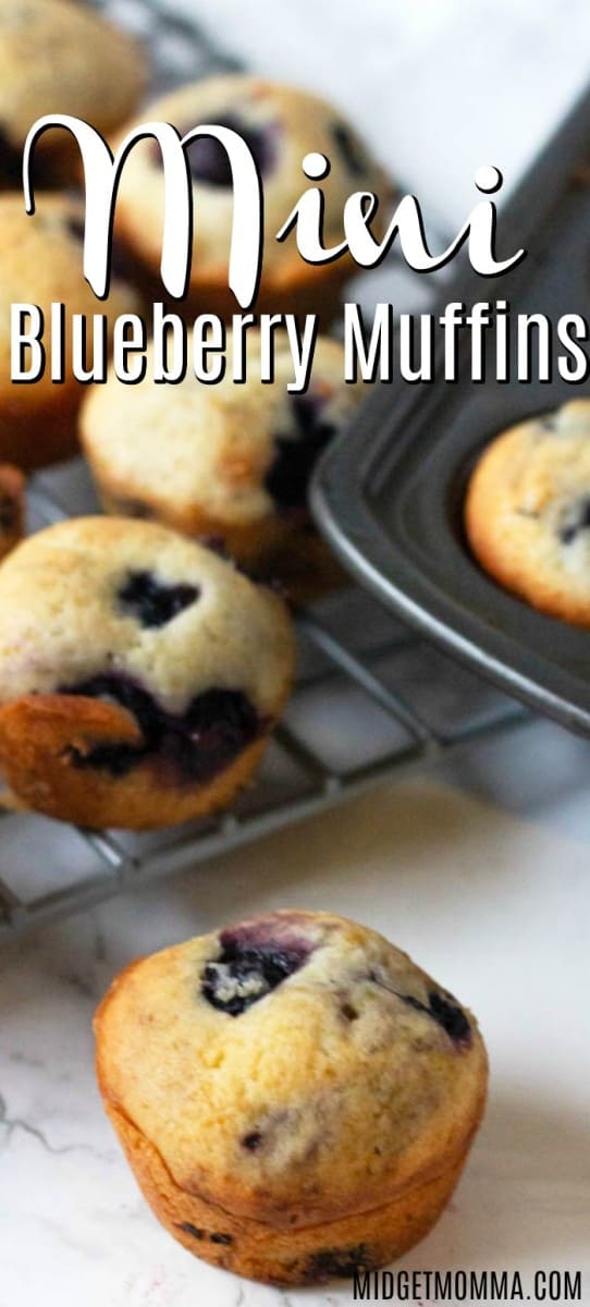 https://www.midgetmomma.com/wp-content/uploads/2019/08/Mini-Blueberry-Muffins-99-542x1200.jpg