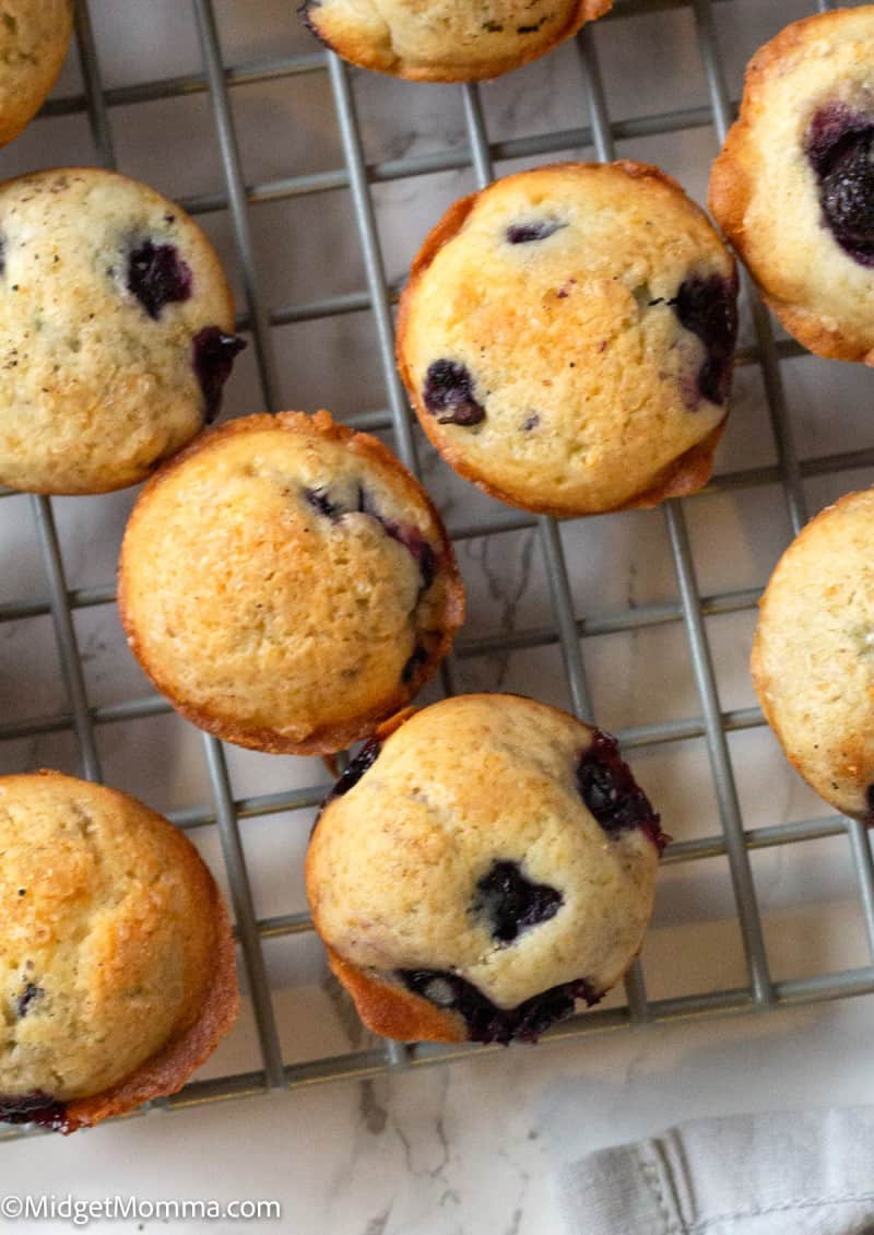 Moist & Delicious The Best Mini Blueberry Muffins Recipe • MidgetMomma