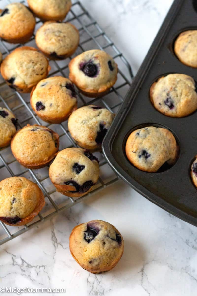 Moist & Delicious The Best Mini Blueberry Muffins Recipe • MidgetMomma