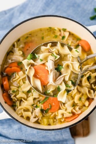 Homemade Chicken Noodle Soup Homemade Soup Recipe