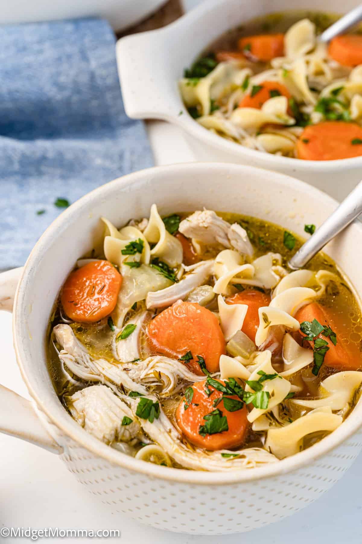 Easy Chicken Noodle Soup Recipe