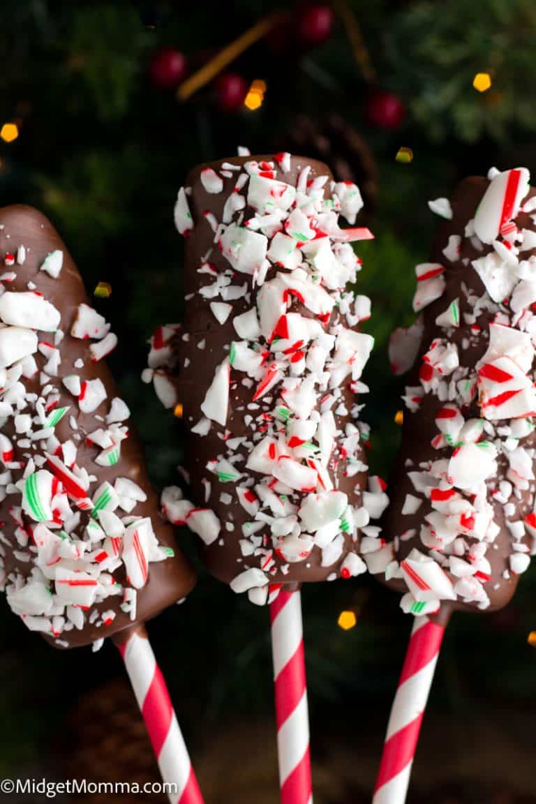 Peppermint Chocolate Covered Marshmallow Pops