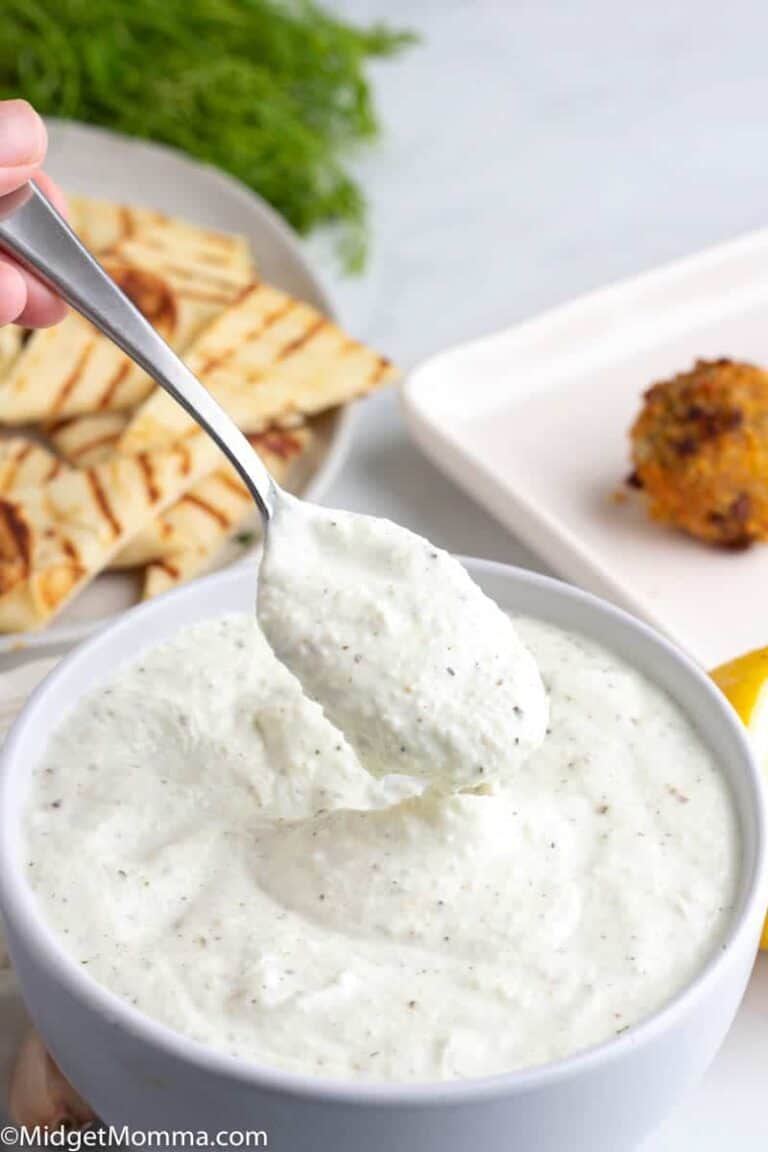 The BEST Tzatziki Sauce Recipe (Cucumber Yogurt Sauce)