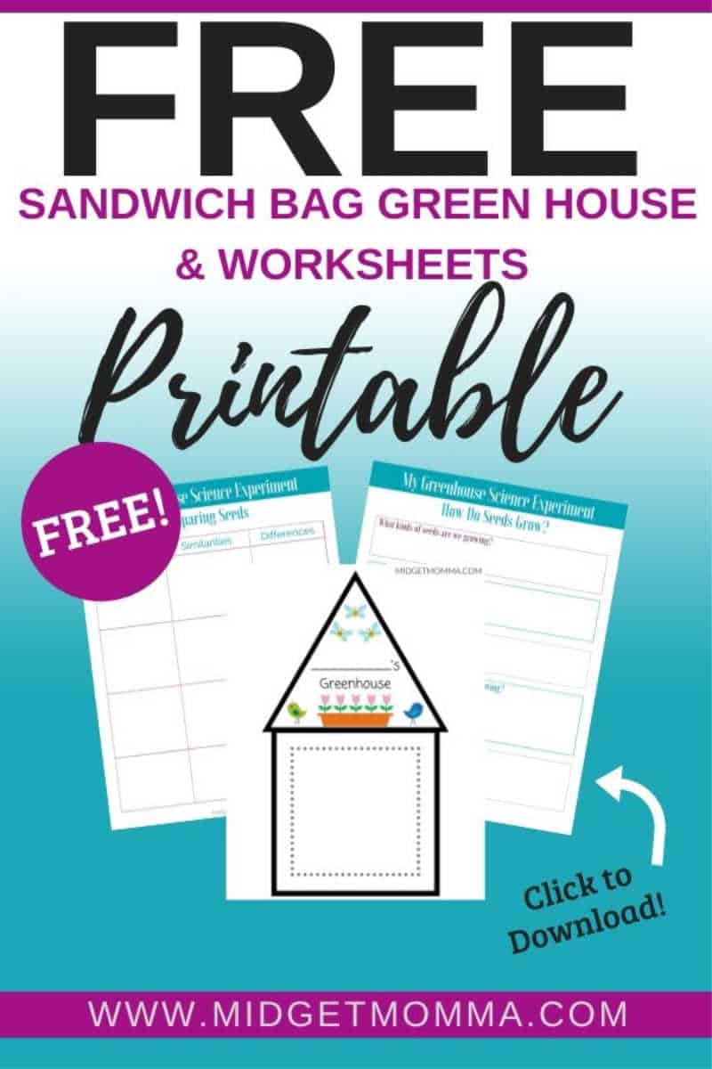 DIY Sandwich Bag Green House Kids Activity • MidgetMomma