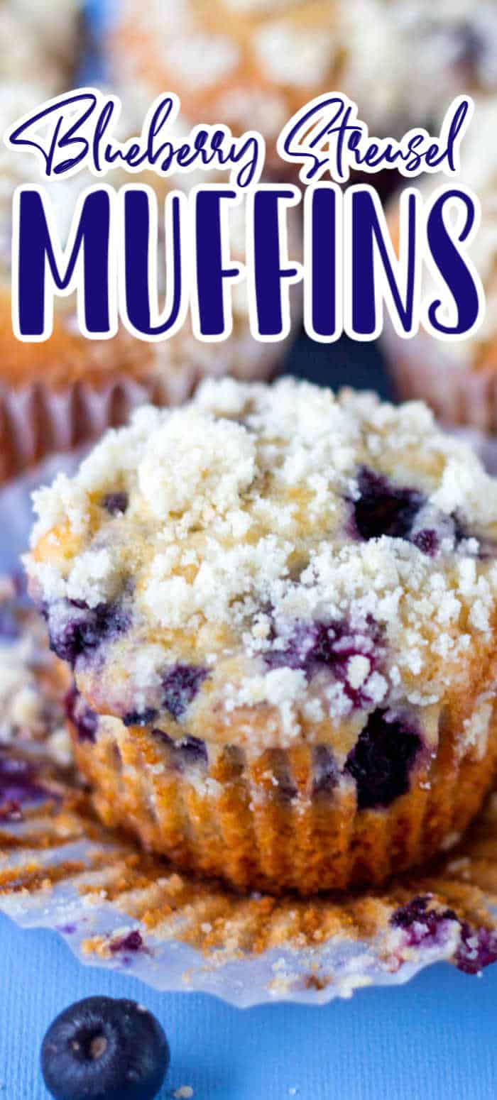 Blueberry Streusel Muffins with Homemade Crumb Topping