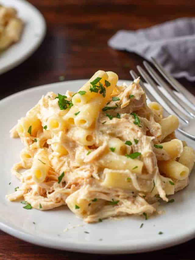 Italian Chicken Pasta Recipe • MidgetMomma