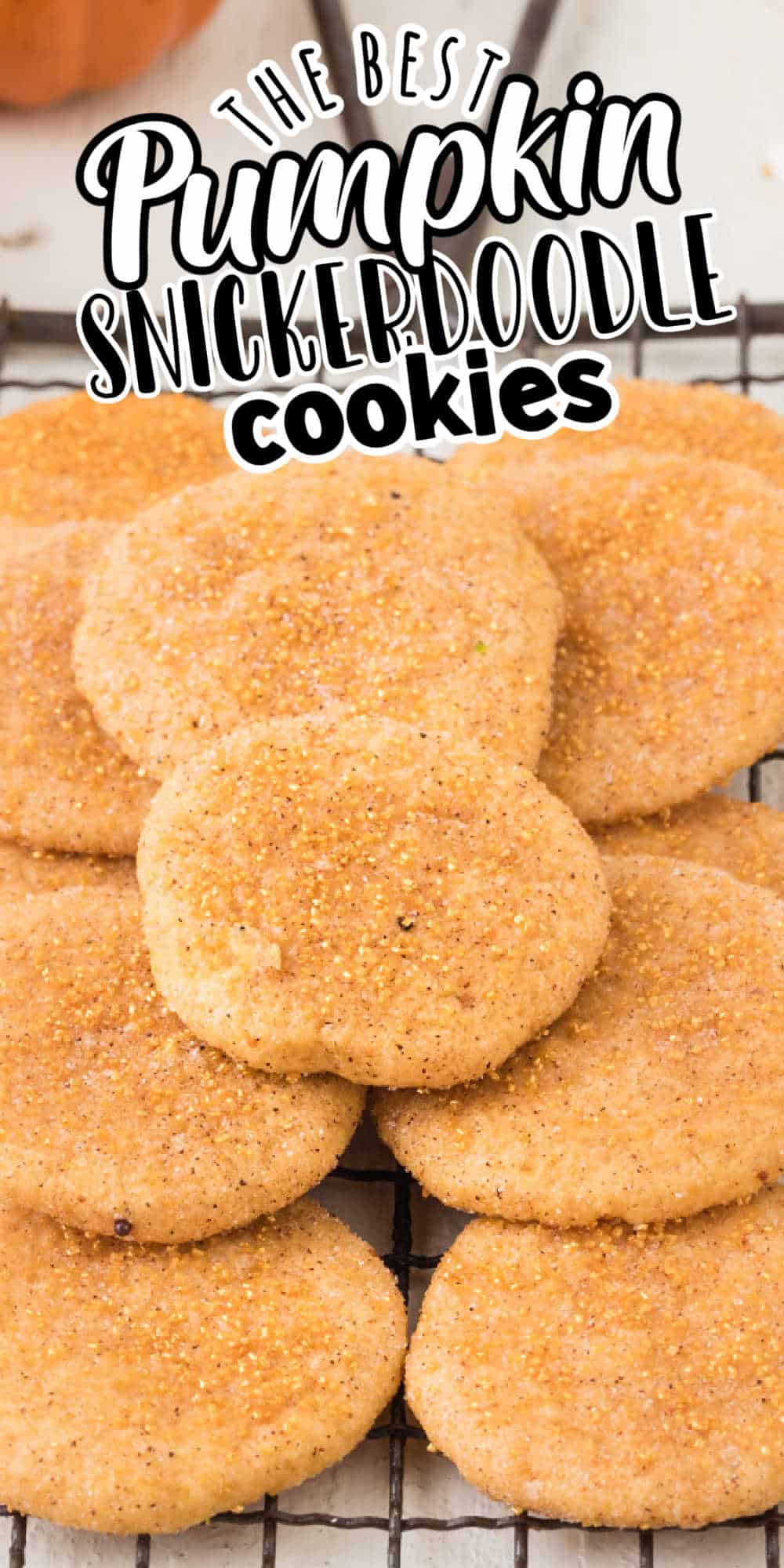 Soft and Chewy Pumpkin Snickerdoodle Cookies - MidgetMomma