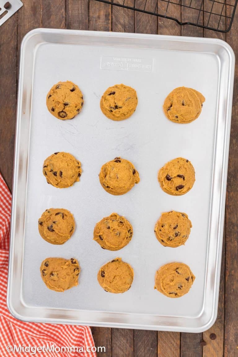 Pumpkin Chocolate Chip Cookies Recipe • Midgetmomma 7538