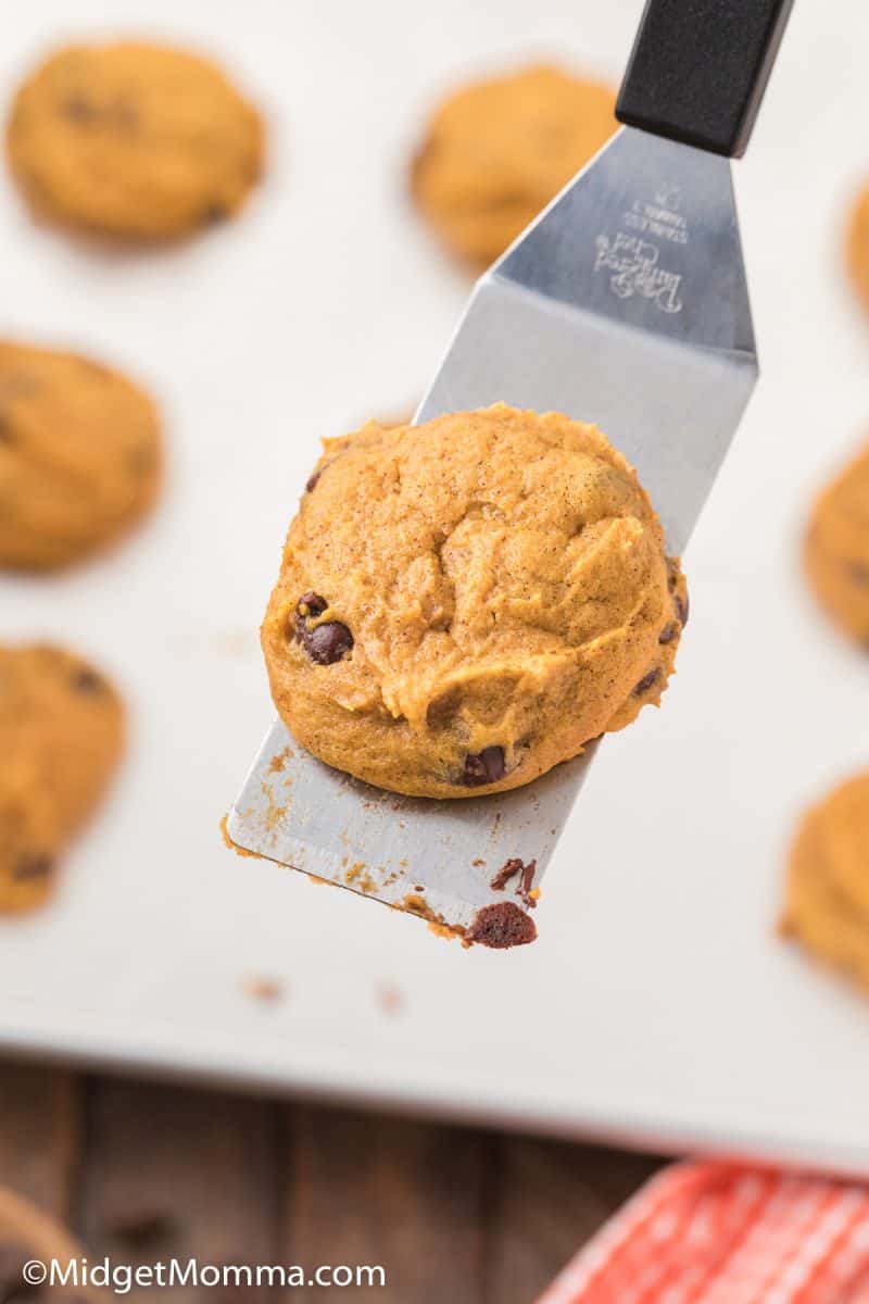 Pumpkin Chocolate Chip Cookies Recipe • Midgetmomma 6115
