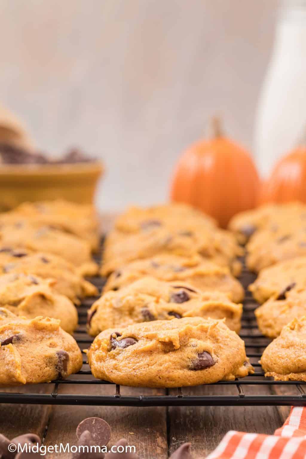 Pumpkin Chocolate Chip Cookies Recipe • Midgetmomma 3374