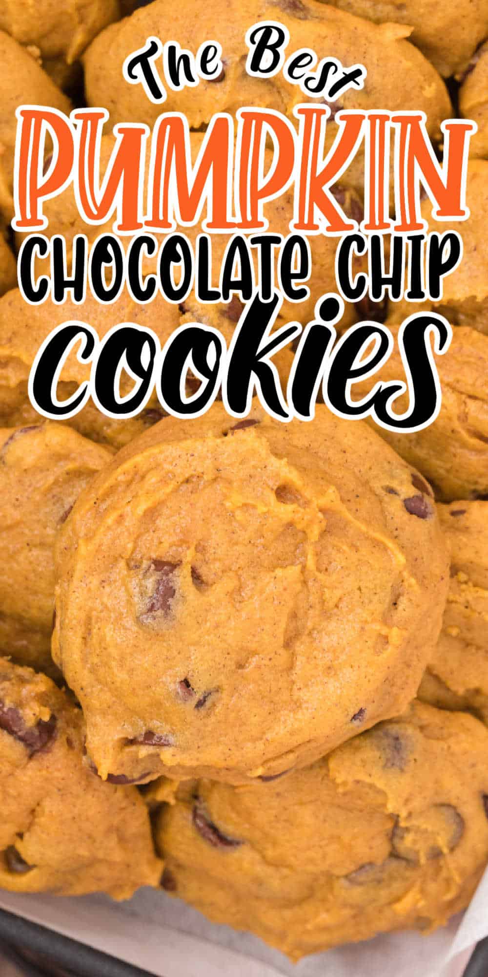 Pumpkin Chocolate Chip Cookies Recipe • Midgetmomma 6593