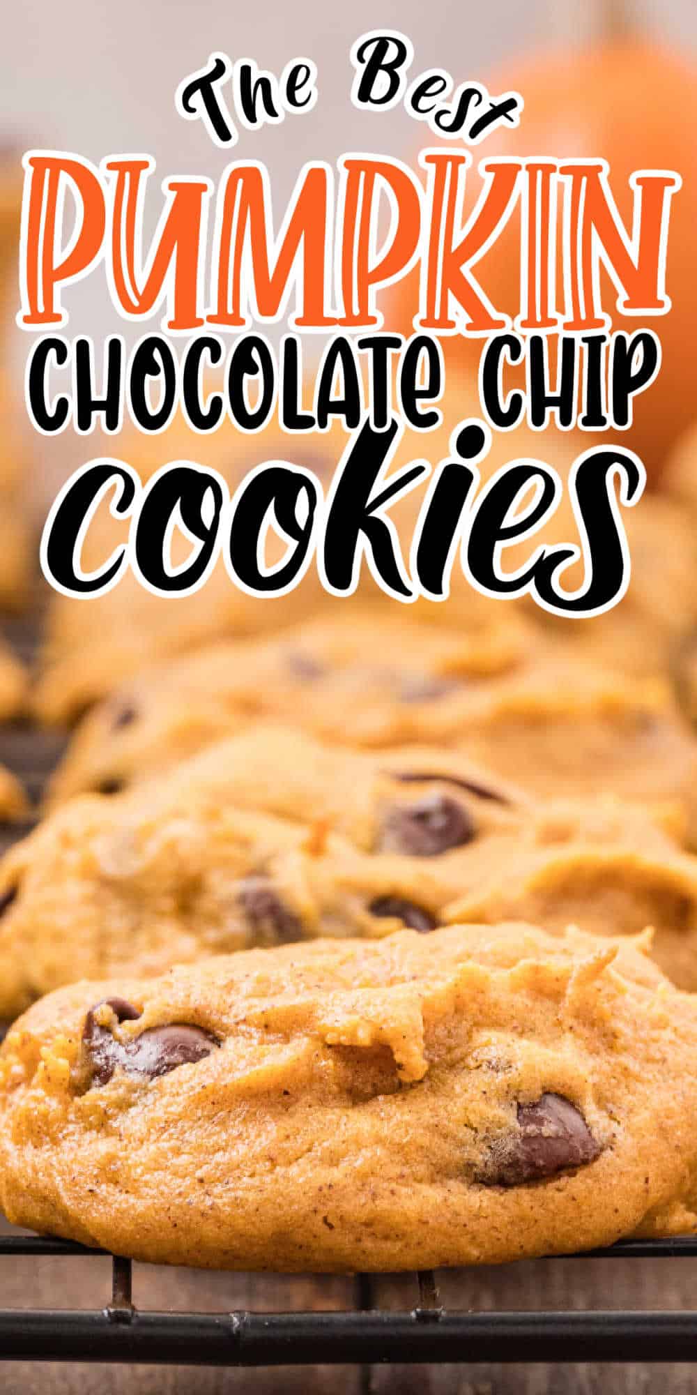 Pumpkin Chocolate Chip Cookies Recipe • Midgetmomma 1217