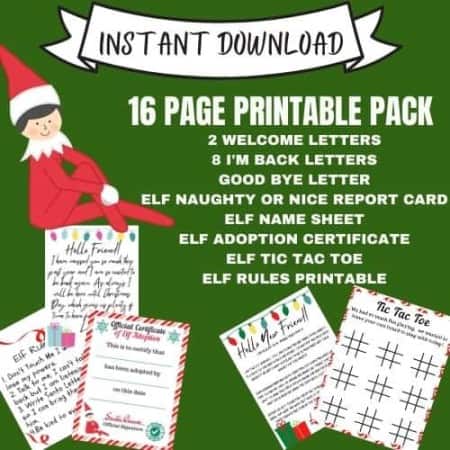 Ultimate Guide to Elf on the Shelf - Arrival, Ideas, Printables & More