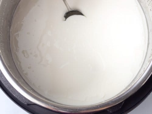 https://www.midgetmomma.com/wp-content/uploads/2020/11/How-to-Make-Instant-Pot-Yogurt_-8-500x375.jpg