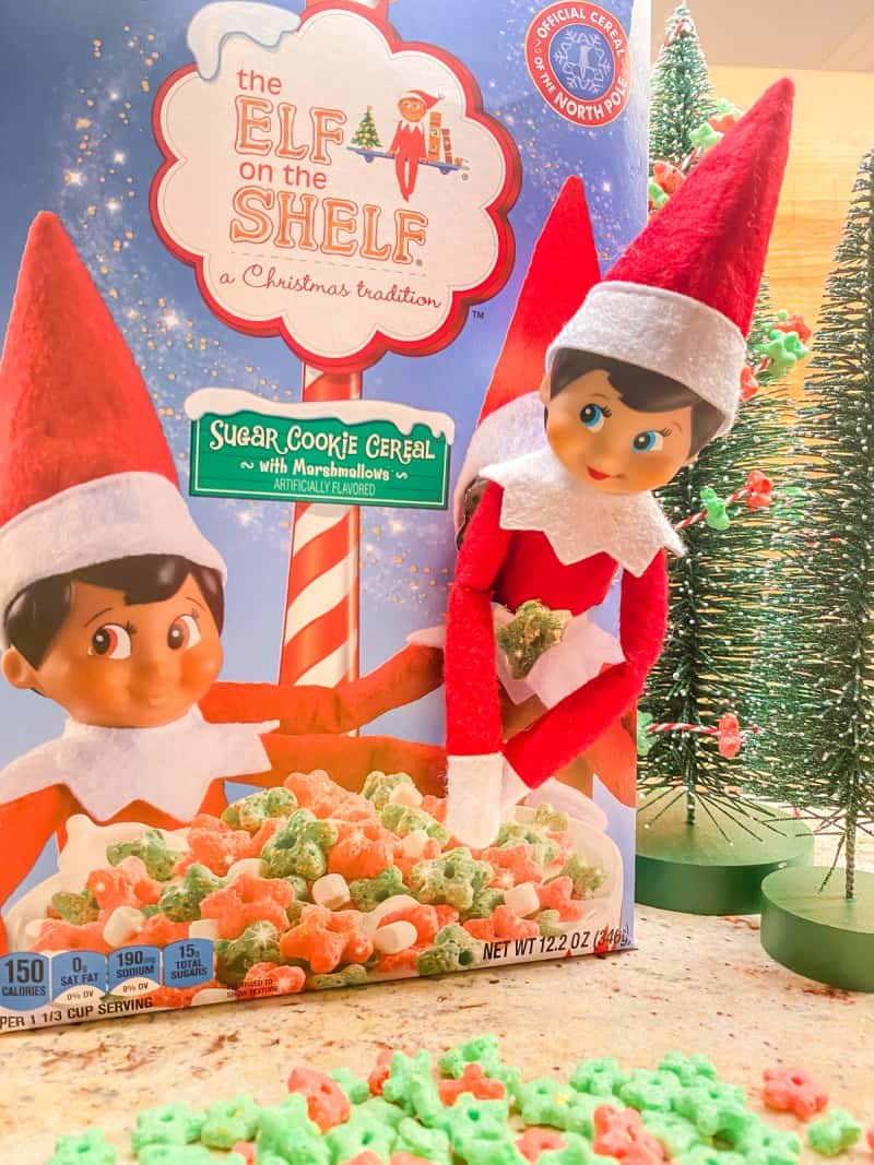 Quick Elf on the Shelf Ideas - Done in 5 Minutes or Less! • MidgetMomma