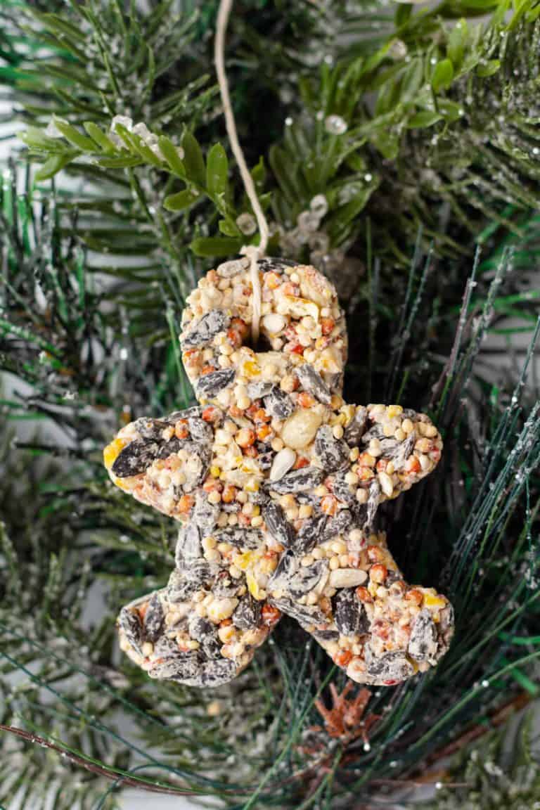 how-to-make-bird-seed-ornaments-midgetmomma