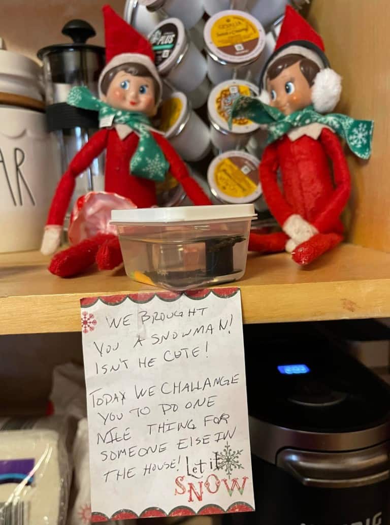 The BEST Elf on the Shelf Arrival Idea For the Elf's Return!