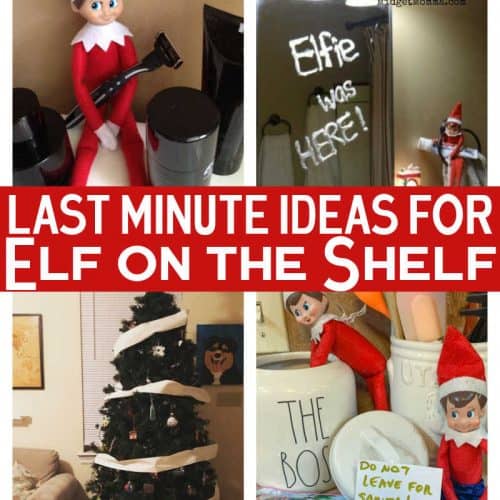 Elf on the Shelf • MidgetMomma