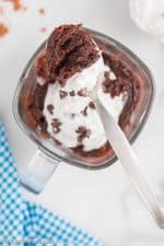 Chocolate Microwave Mug Brownie Recipe • MidgetMomma