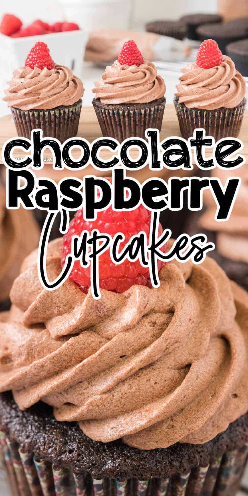 Chocolate Raspberry Cupcakes Recipe